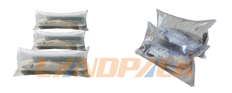 充氧氣袋裝活魚(yú)