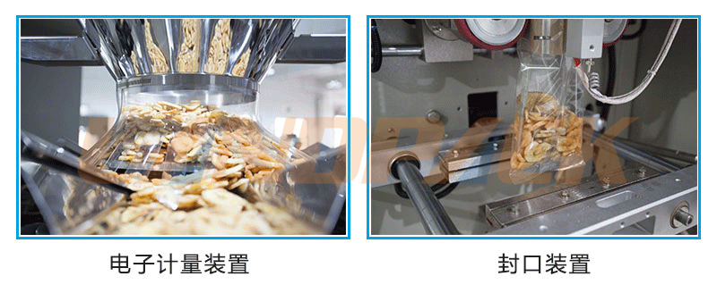 10頭電子組合稱 10頭電子組合稱